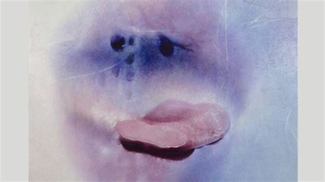 Sex positivity after 70: Marilyn Minter’s sensual。